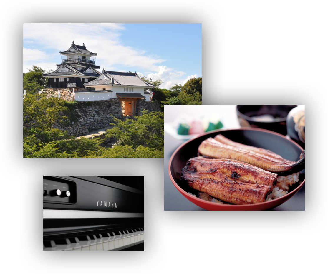 A three part image including 1) Hamamatsu Castle against a blue sky, as seen from outside its stone wall, 2) a rice bowl with grilled eel on top, and 3) the keys of a Yamaha brand piano.