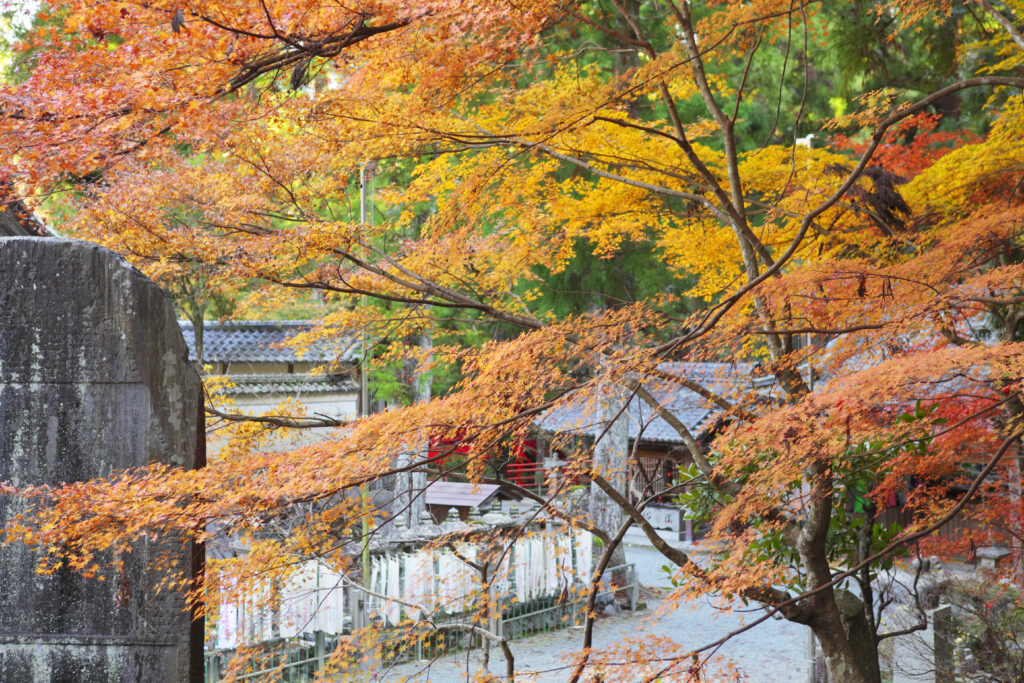 Hokoji_autumn leaves