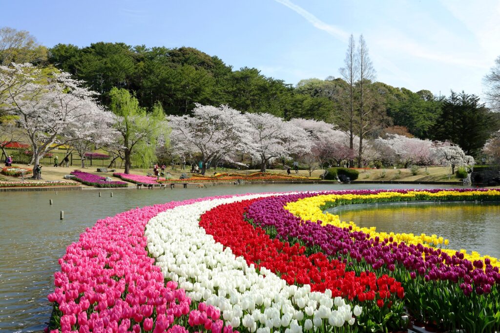 HamamatsuFlowerPark_LateMarch2