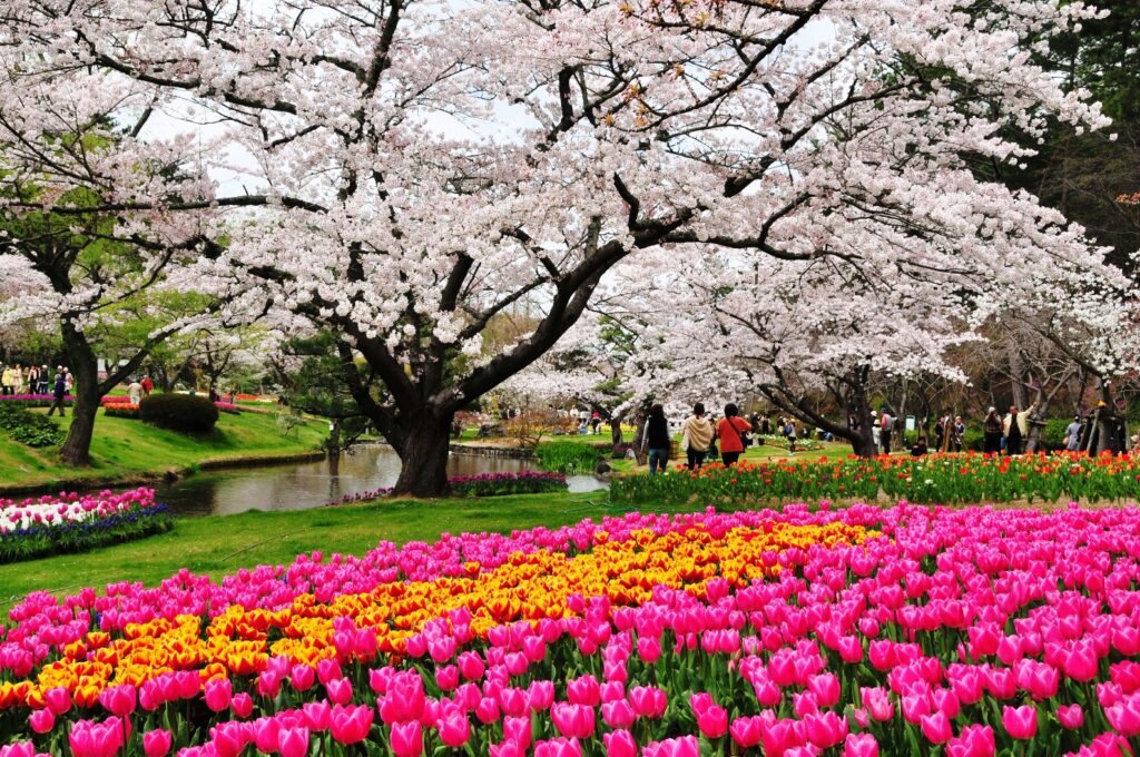 HamamatsuFlowerPark_LateMarch3