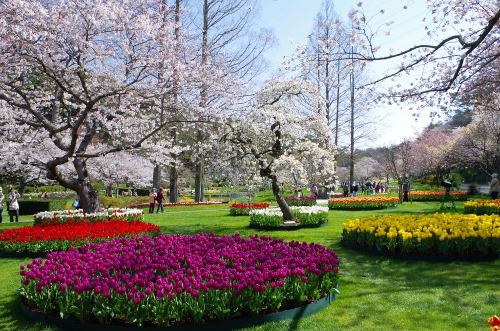 HamamatsuFlowerPark_LateMarch4