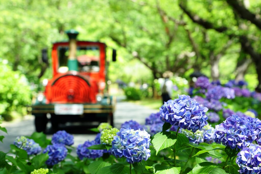 HamamatsuFlowerPark_LateMay