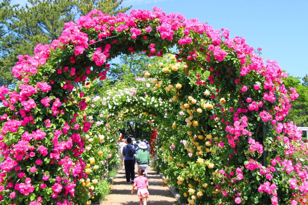 HamamatsuFlowerPark_Mid-May