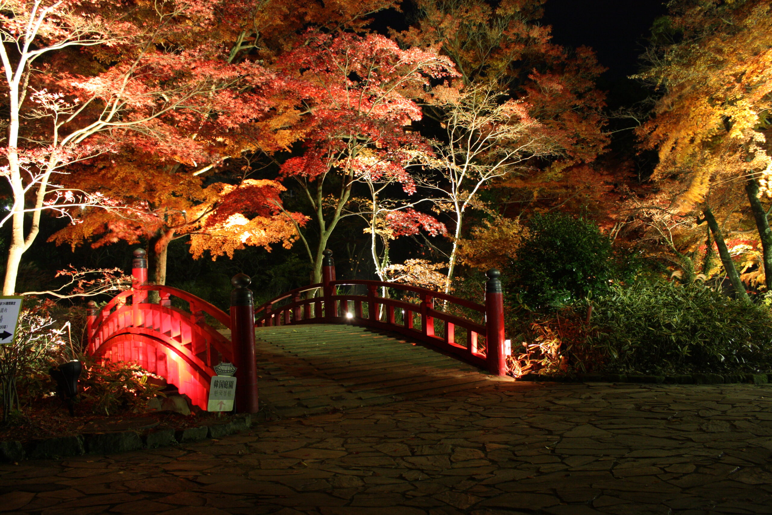Places Touched by Autumn Magic: 5 Breathtaking Fall Views in Central ...
